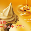 濃厚“キャラメル”に北海道産のみにこだわった生乳＆生クリームをミックスさせた『北海道キャラメルソフト』なんて美味しくない訳がない！