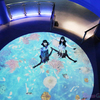 大迫力の映像美が夜の水族館を光り輝かせる！八景島シーパラダイス × NAKEDコラボ『楽園のアクアリウム』に感激！