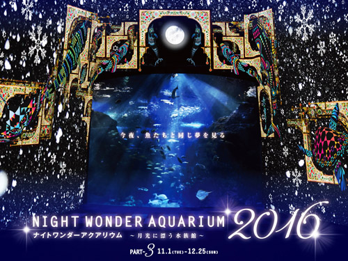 最終章はロマンチックなクリスマス演出 新江ノ島水族館 ナイトワンダーアクアリウム16 17 00以降のプレミアムナイトも開催 詳細記事 Sgs109