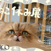 来場者10万人超！スター猫の秋冬新作コレクション「ねこ休み展in PARCO」第3弾は福岡パルコにて人気猫オールスターズが登場！