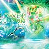 さらに進化したドルフィンパフォーマンスが登場！“花”をテーマにした初夏イベント『FLOWER AQUARIUM by NAKED』開催！ 