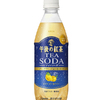 芳醇で爽やかな大人のティーソーダ！午後の紅茶から夏に美味しい“グレープフルーツ＆レモンピール”新発売♪