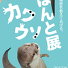 人気上昇中“カワウソ”尽くしの企画展！写真＆動画から限定グッズまで大集合！