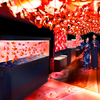 日本最大級100mの金魚展示に、約20品種1,000匹の金魚が舞う！すみだ水族館 お江戸の金魚夏まつり「東京金魚ワンダーランド」開催