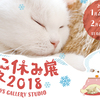 立体の“ホイちゃん”を夢のなでなで☆ 新作展示続々登場で見どころ満載の『ねこ休み展 冬 2018』開催！