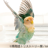 鳥たちの“一瞬の美しさ”がいっぱい♪ インコやヨウム、幻の鳥も登場の『鳥物語トリストーリー展』東京・名古屋で開催！