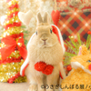 愛らしいうさぎたちがクリスマスを華やかに彩る♡ 『うさぎしんぼる展 in カレッタ汐留』期間限定で開催