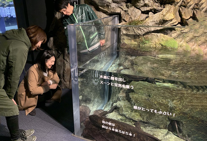 幻想的な夜の水族館で特別なバレンタインを 京都水族館 冬の夜のすいぞくかん 期間限定で開催 画像9 Sgs109