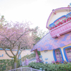 東京ディズニーリゾート®で平成最後の“桜”が開花♡ ミニーマウス×桜のキュートなグッズが好評発売中！