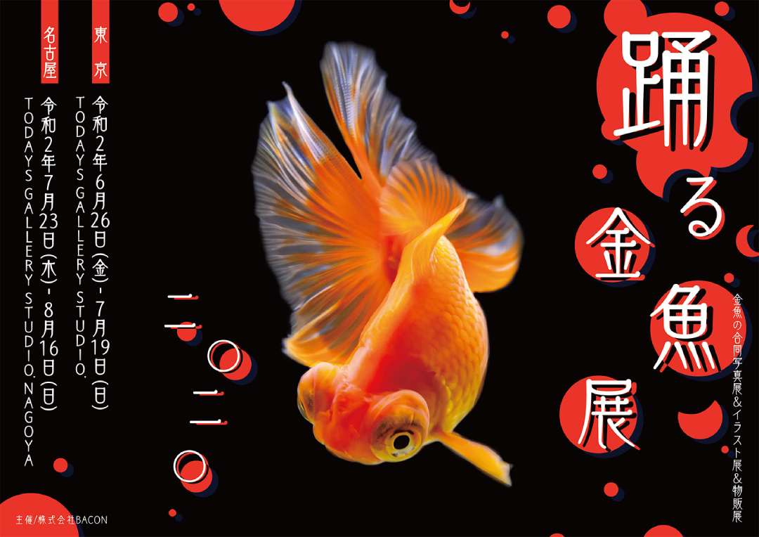 夏の風物詩 金魚 の優雅で美しい作品に心癒される 踊る金魚展 が東京 名古屋で開催 詳細記事 Sgs109
