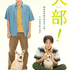 林遣都＆中川大志による、獣医学部に実在したサークル「犬部」を元に描いた“青春犬ラブムービー”☆ 映画『犬部！』大切な相棒への愛があふれる、ティザービジュアルが解禁!!