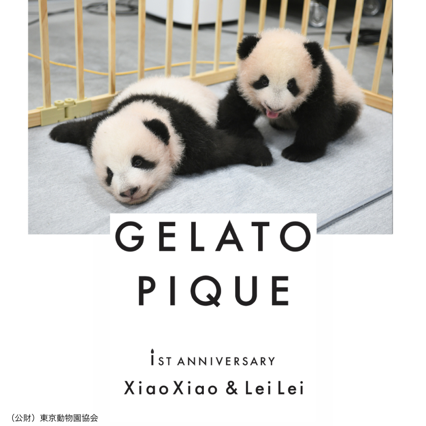 上野動物園の双子パンダ“シャオシャオ・レイレイ”とのコラボアイテムも ...