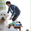 田中圭演じる民夫＆俳優犬ベック演じるハウの幸せな日常シーン！映画『ハウ』本編映像解禁！石田ゆり子の優しいナレーションも♪