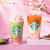 スターバックスSAKURAプロモーション第2弾！「抹茶と桜わらびもち フラペチーノ®」と「ほうじ茶＆クラシックティーラテ 桜わらびもち入り」が期間限定で登場