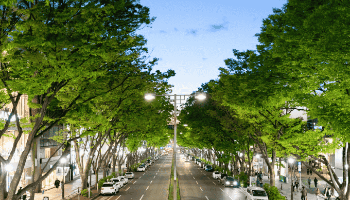 表参道が一人飲みの出会いに最適な理由