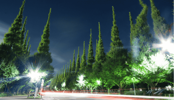 青山一丁目駅・外苑前駅周辺の穴場スポット