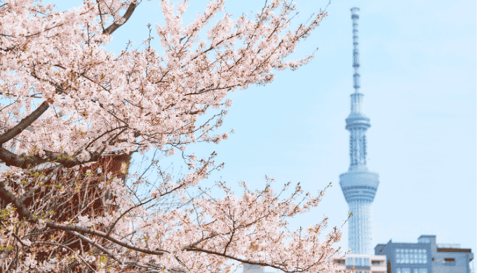 タイプ別で選ぶ東京都のナンパスポット