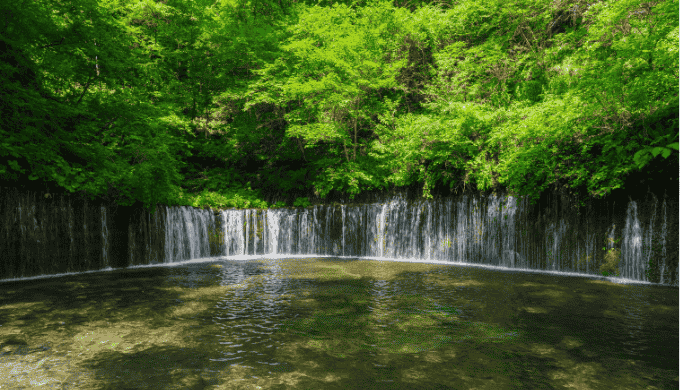 効率的に出会いを増やすためのマッチングアプリ活用法