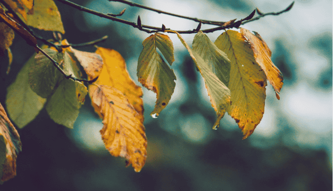 季節・イベント別のナンパ戦略カレンダー