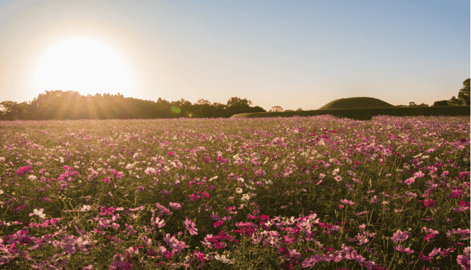 宮崎県の出会いの場で注意すべきマナーと安全対策