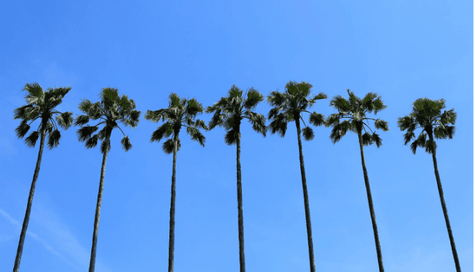 宮崎駅周辺とニシタチエリアが出会いの中心地である理由