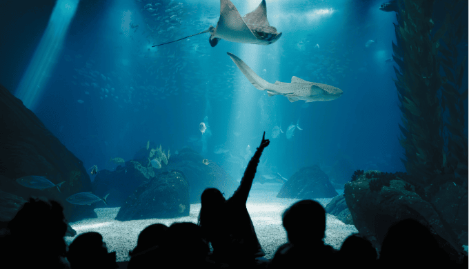 新潟県の最強ナンパスポット15選