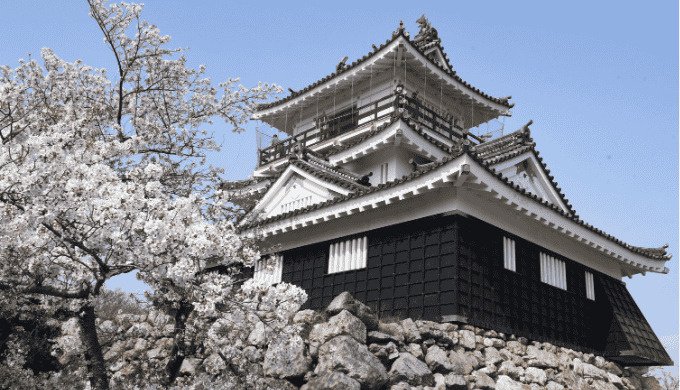 浜松で一人飲みと出会いを両立できる理由