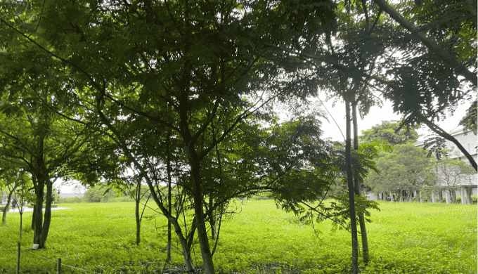 神埼郡エリア｜自然豊かなアウトドアスポット