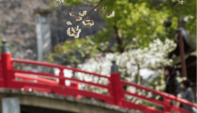 福岡での一人飲みで出会った後の次のステップ