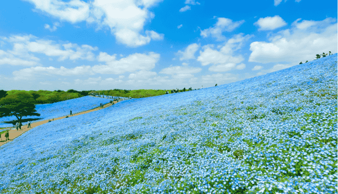 茨城県ナンパスポットの特徴と成功の秘訣
