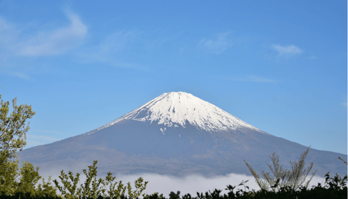 静岡の一人飲み出会い文化とは？